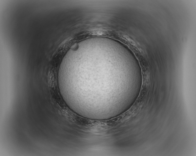X0000115251446200911061209
