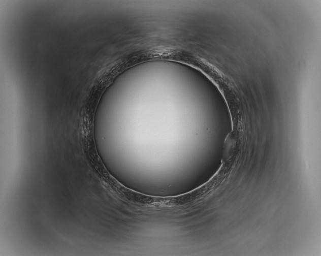 X0000115251447200911061209