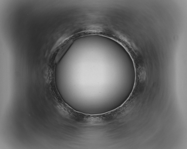 X0000115251448200911061209
