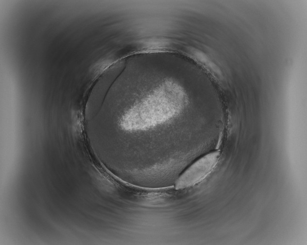 X0000115251449200911061209