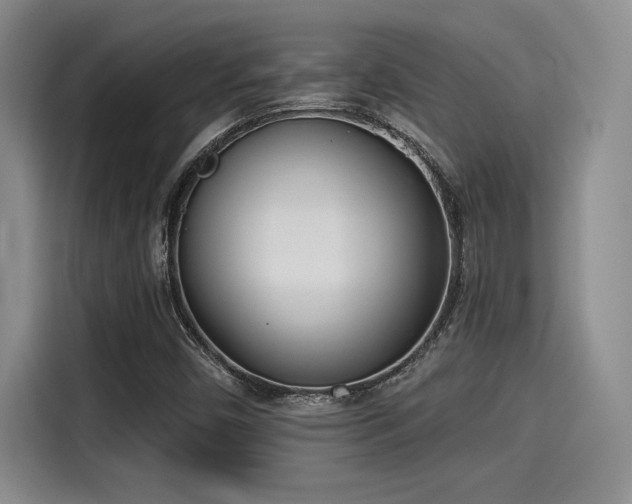 X0000115251450200911061209