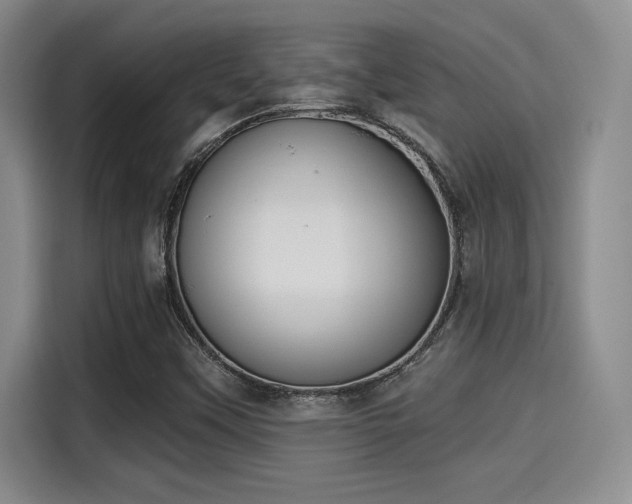 X0000115251451200911061209