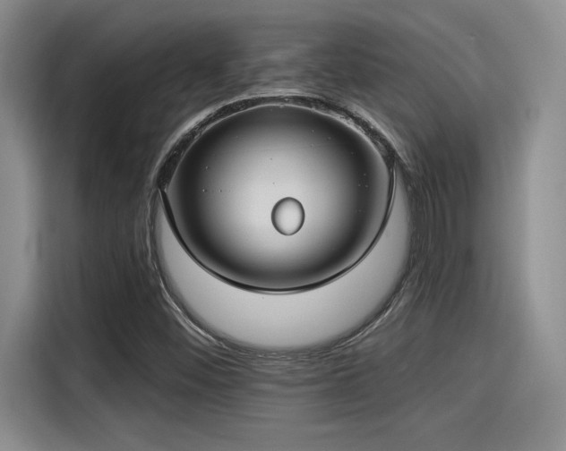X0000115251452200911061209