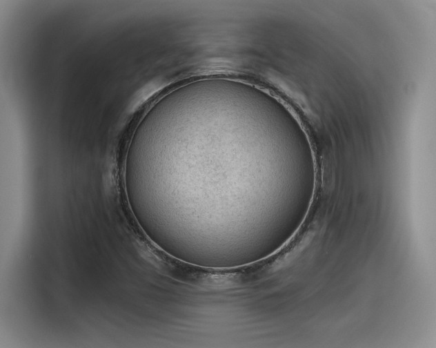 X0000115251453200911061209