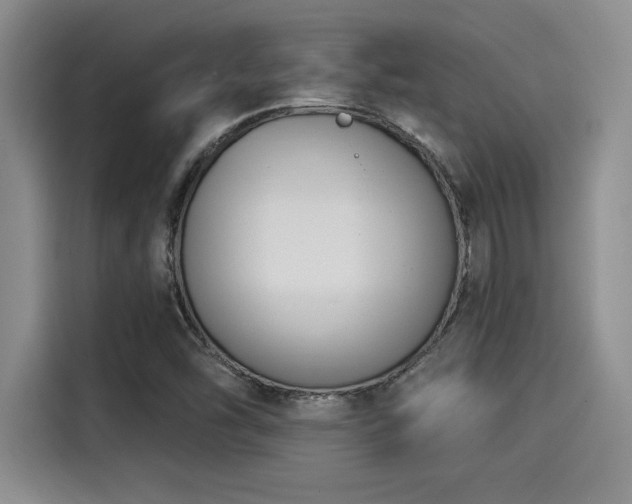 X0000115251454200911061209