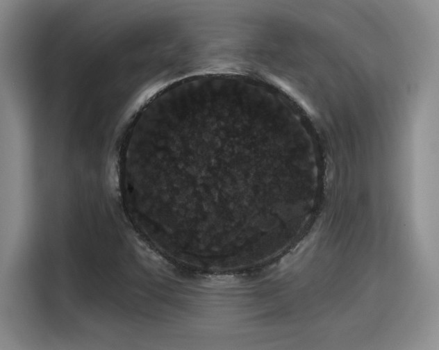 X0000115251455200911061209