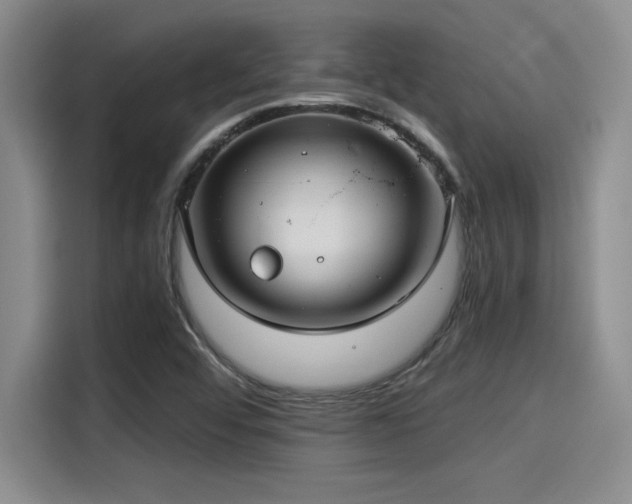 X0000115251456200911061209
