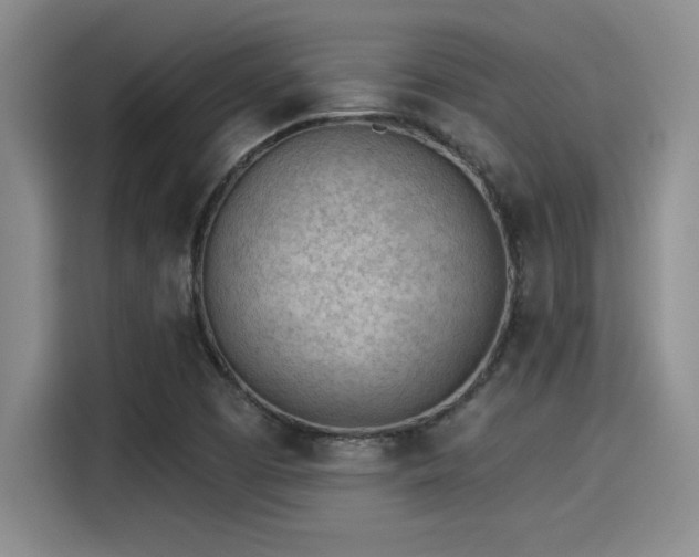 X0000115251457200911061209