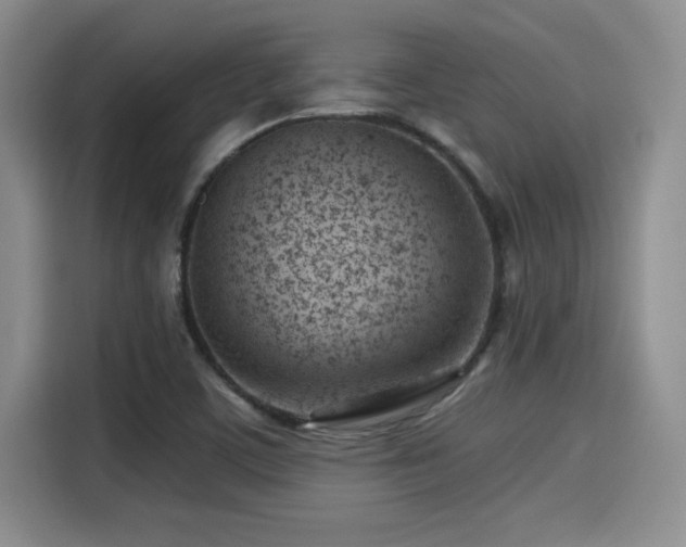 X0000115251459200911061209