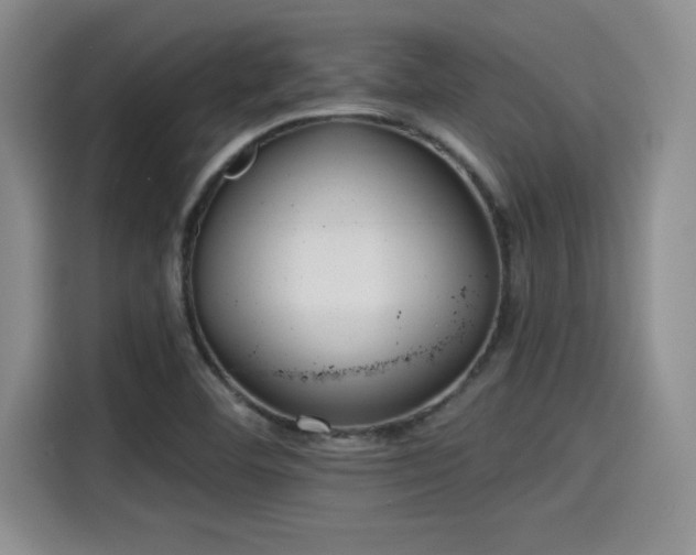 X0000115251460200911061209