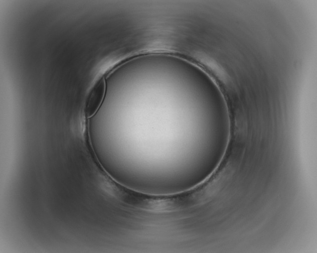 X0000115251461200911061209