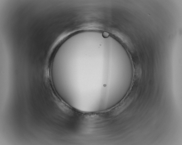 X0000115251462200911061209
