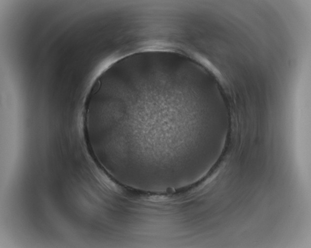 X0000115251463200911061209