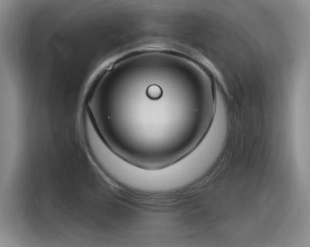X0000115251464200911061209