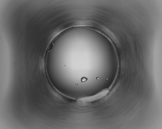 X0000115251465200911061209