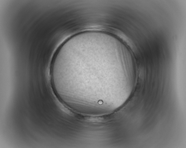 X0000115251466200911061209