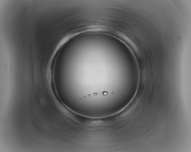 X0000115251467200911061209