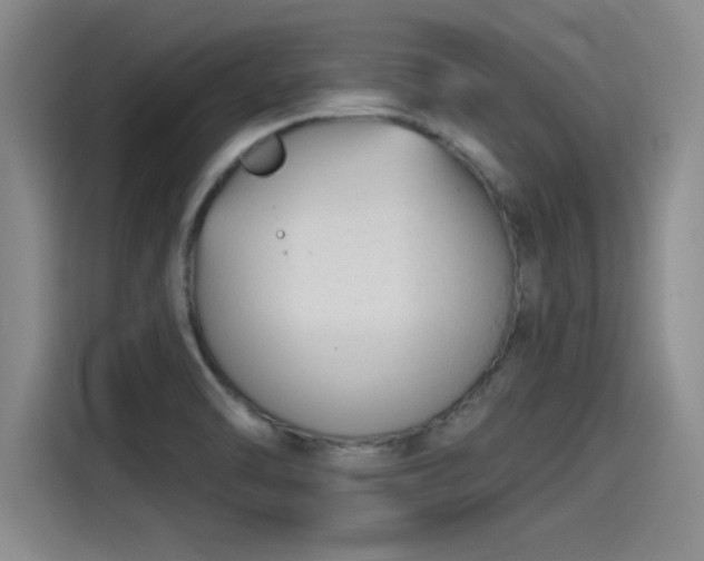 X0000115251470200911061209