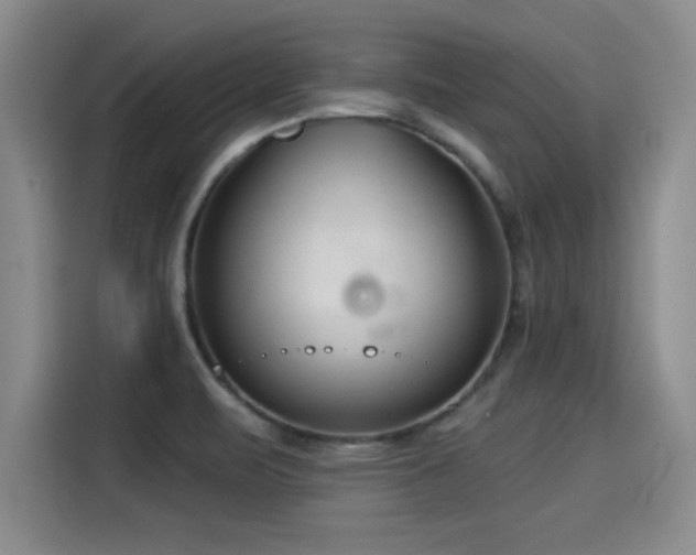 X0000115251471200911061209