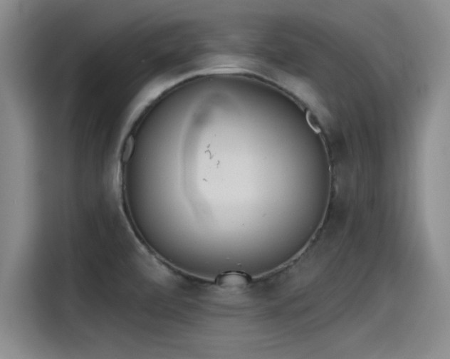 X0000115251472200911061209