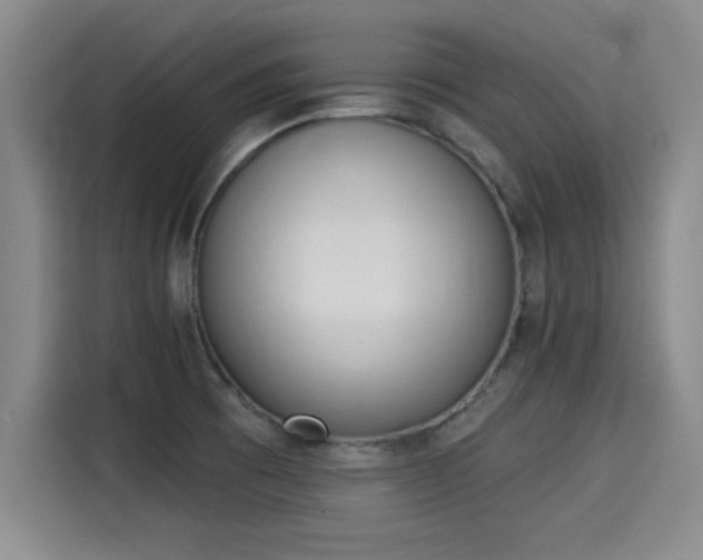 X0000115251473200911061209