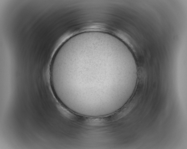 X0000115251474200911061209
