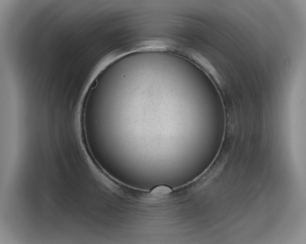 X0000115251475200911061209