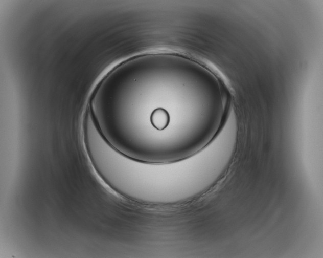 X0000115251476200911061209