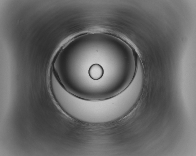 X0000115251477200911061208