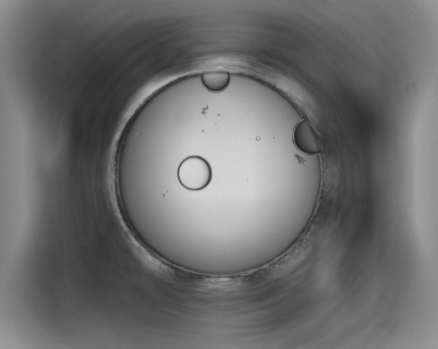 X0000115251478200911061208
