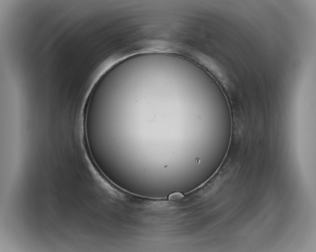 X0000115251479200911061208