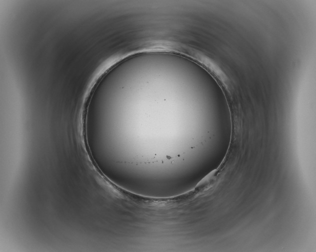 X0000115251480200911061208