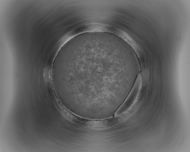X0000115251481200911061208