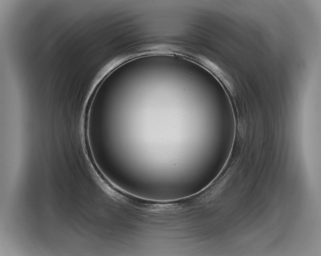 X0000115251482200911061208