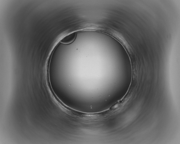X0000115251483200911061208