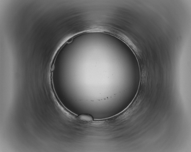 X0000115251484200911061208
