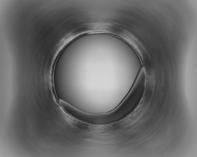 X0000115251485200911061208