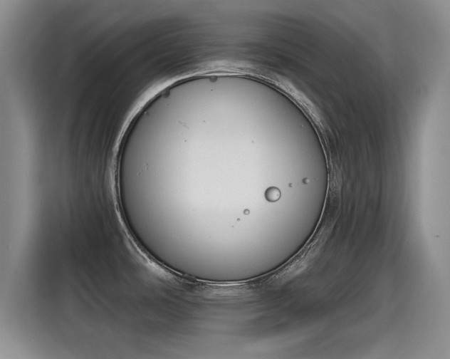 X0000115251486200911061208