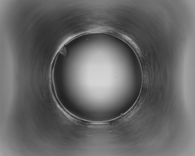 X0000115251487200911061208