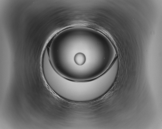 X0000115251488200911061208