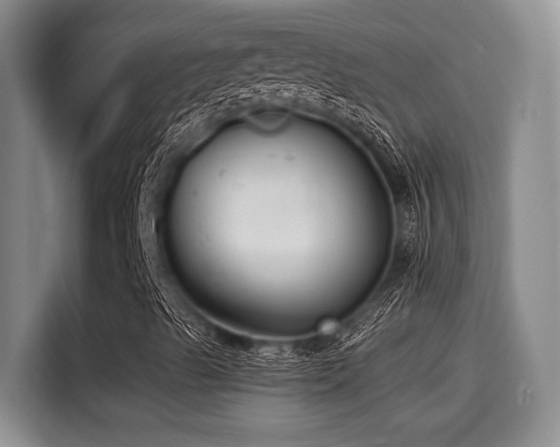X0000115251489200911061208