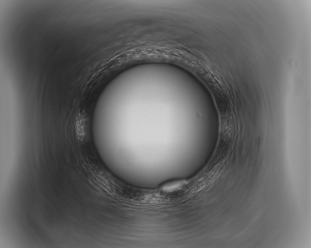 X0000115251490200911061208