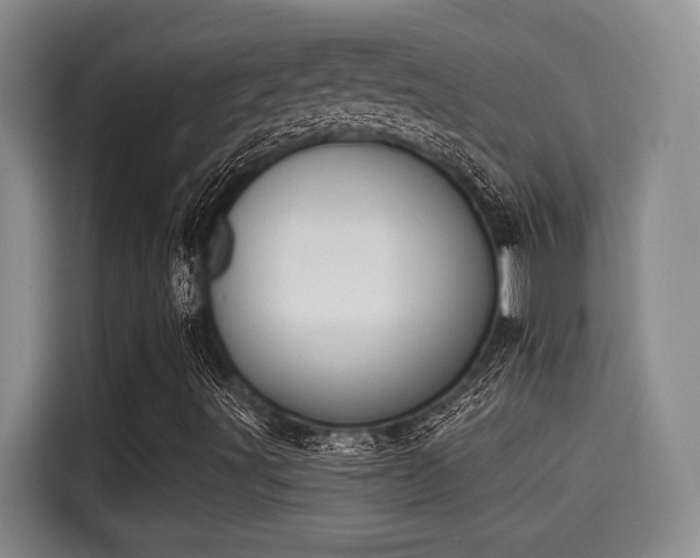 X0000115251491200911061208