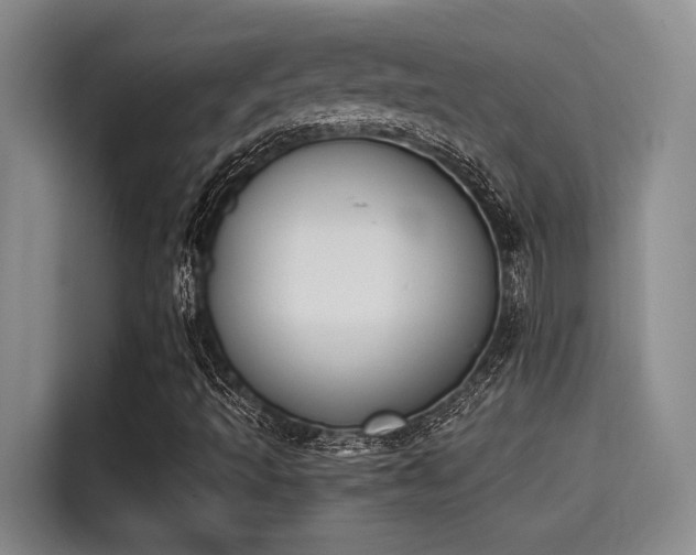 X0000115251493200911061208
