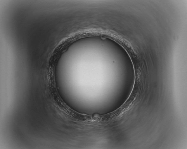 X0000115251494200911061208
