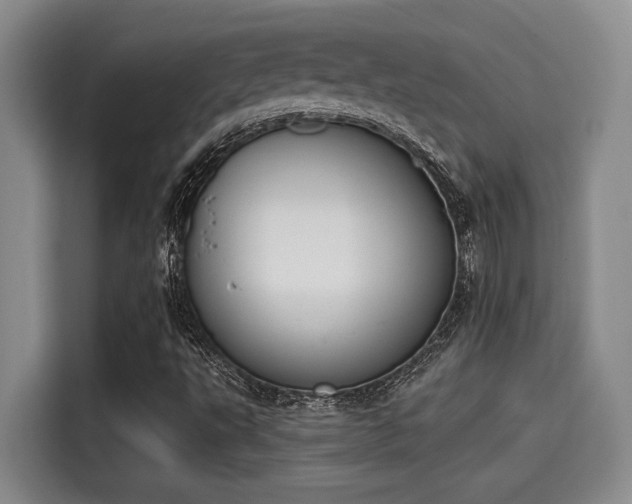 X0000115251495200911061208