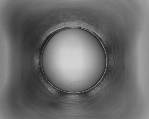 X0000115251499200911061208