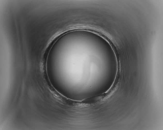 X0000115251501200911061208