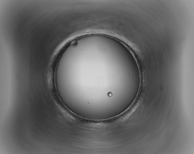 X0000115251502200911061208