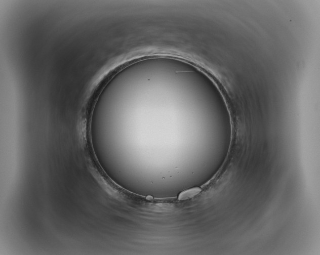 X0000115251503200911061208